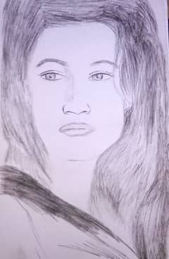 Pencil Sketch  Photo