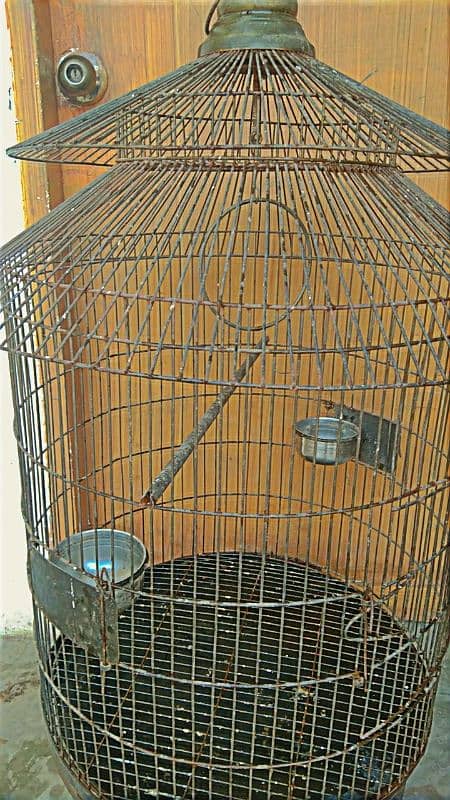 parrots cage 2