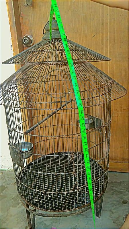 parrots cage 5