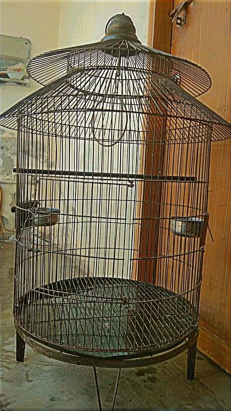 parrots cage 8