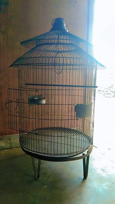 parrots cage 9