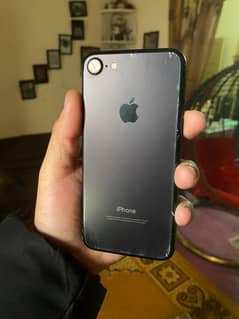 iphone 7