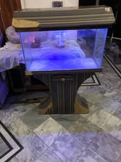 Fish aquarium with wooden stand