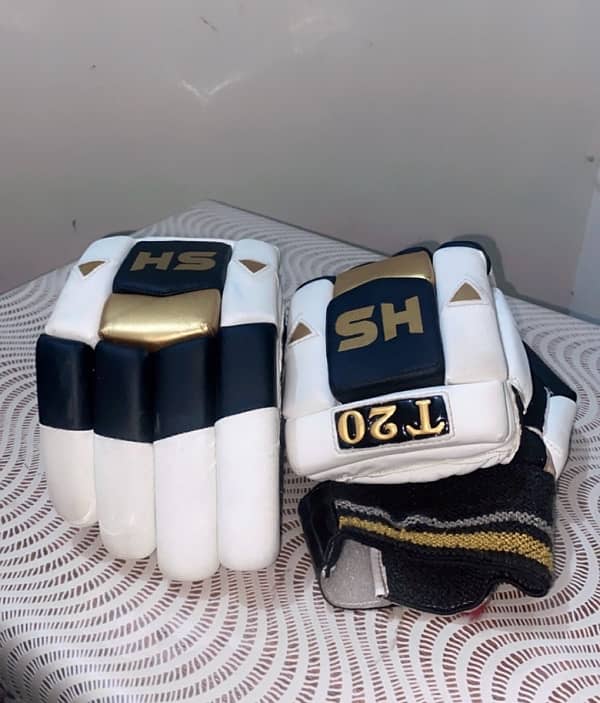 Hardball Cricket Gloves 1