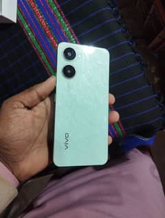 vivo