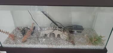 fish aquarium for sale