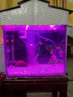 1.5*1.5 ft Aquarium for sale