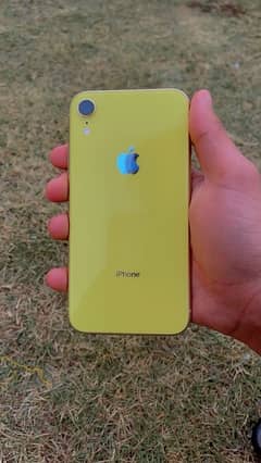 iPhone XR yellow colour