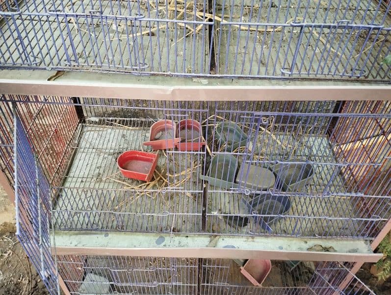 CAGE FOR BIRDS MADE BY BEST IRON 2