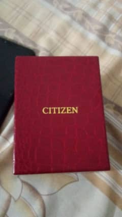 citizen watch