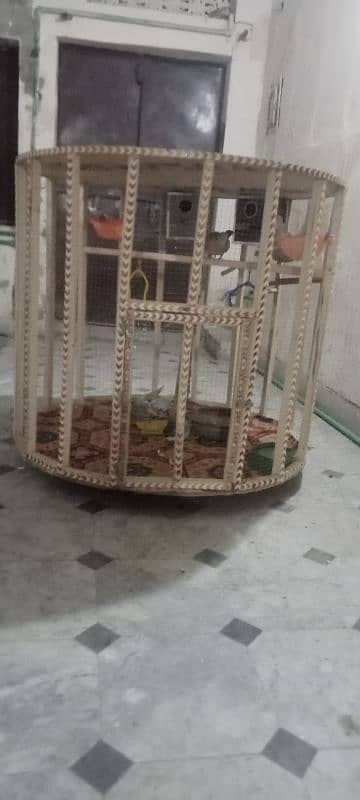 Cage|pinjra| wooden cage for sale 03212987600 1