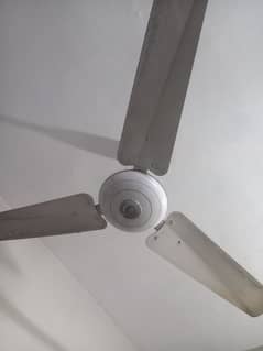 Fan for sale