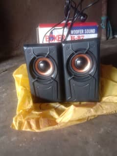 boxer speaker