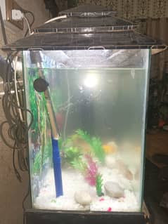 Aquarium For Sale