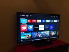 Tcl 50" p615