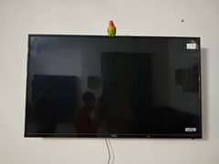 2 lcd for arguent sale moving out