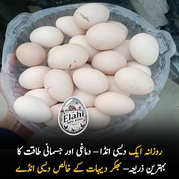 Elahi Desi Eggs - Pure Desi Eggs bhakkar Dehat k 5