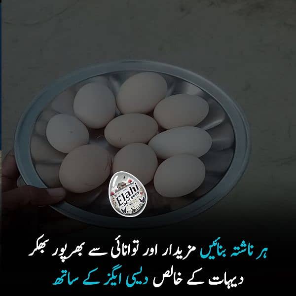 Elahi Desi Eggs - Pure Desi Eggs bhakkar Dehat k 7