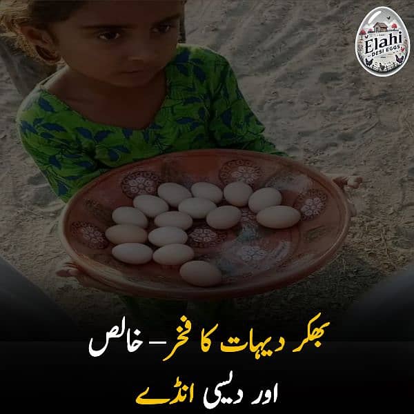 Elahi Desi Eggs - Pure Desi Eggs bhakkar Dehat k 8