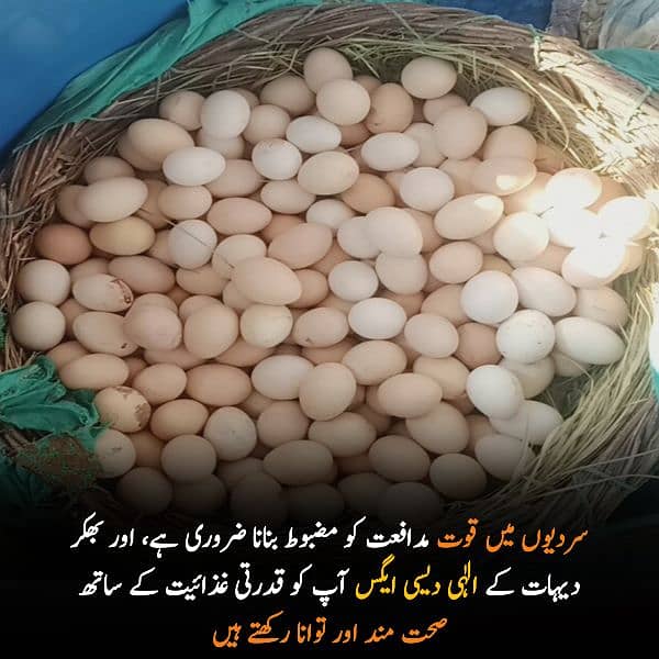 Elahi Desi Eggs - Pure Desi Eggs bhakkar Dehat k 11