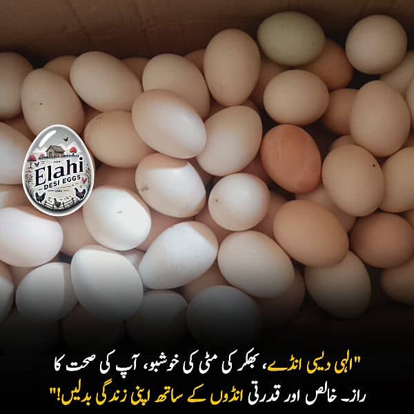 Elahi Desi Eggs - Pure Desi Eggs bhakkar Dehat k 12