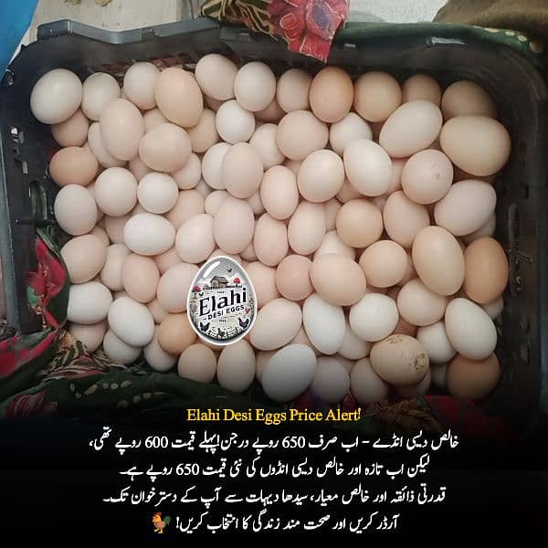 Elahi Desi Eggs - Pure Desi Eggs bhakkar Dehat k 2