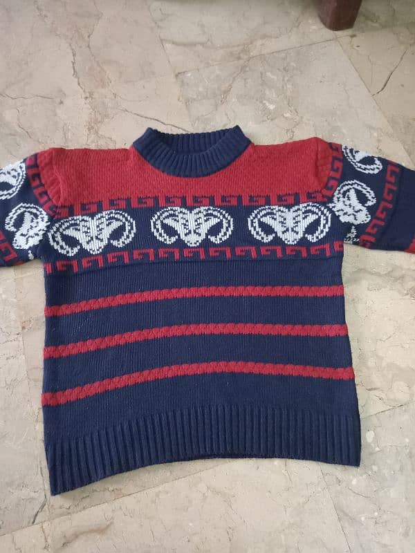 Kids Sweater fully Hand made heavy weight. 0