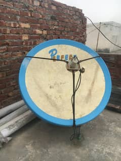 Dish Antenna Tv (Fiber Glass)