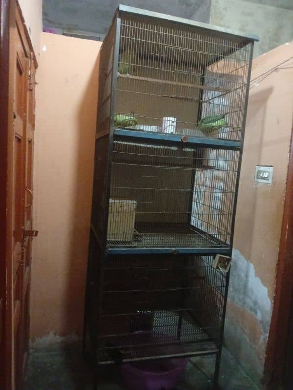 Birds Cage 0