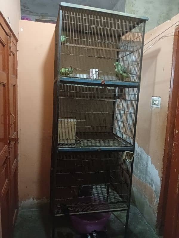 Birds Cage 2