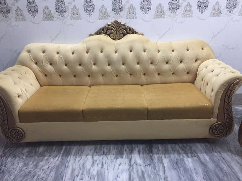 6 setter Sofa set 1