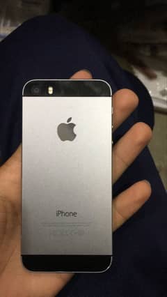 Apple iPhone Other Model 5s