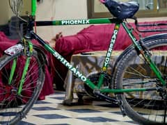 Phoenix cycle good condition in Wazirabad