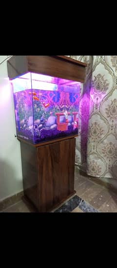 FISH AQUARIUM FOR SALE