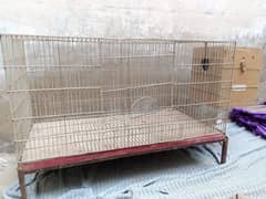 Big cage for saLe with box and other accessories urgent sale