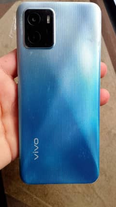 vivo