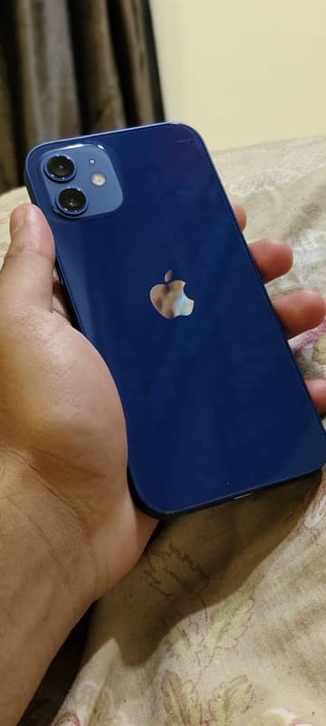 iPhone 12 (blue color) 2