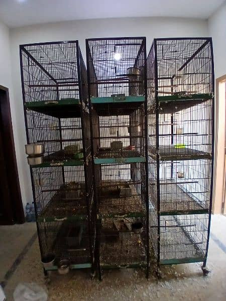 parrot cages for sale 2