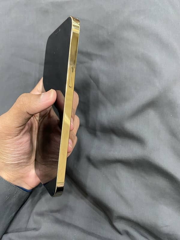 iphone 12 pro max 256gb pta approved 1