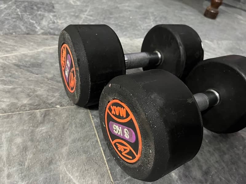 8 kg dumbbells 3