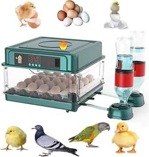 Intelligent 70 eggs incubator dual power 1