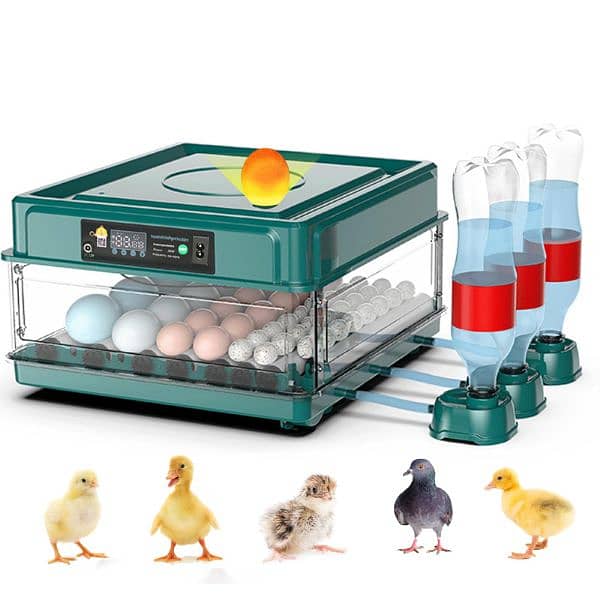 Intelligent 70 eggs incubator dual power 4