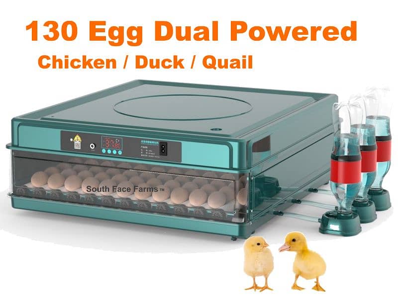 Intelligent 70 eggs incubator dual power 6