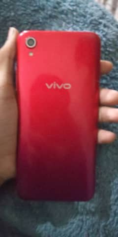 Vivo