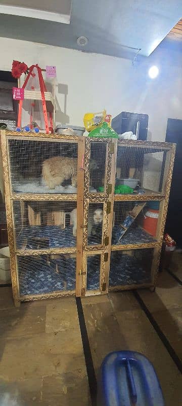 cat cage 2