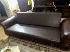 Molty Foam Sofa Cum Bed