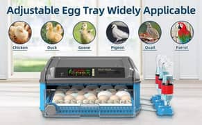 Intelligent 64 eggs daraz model dual power