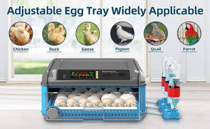 Intelligent 64 eggs daraz model dual power 0