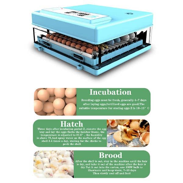 Yiwan 70 eggs daraz model dual power incubator 2