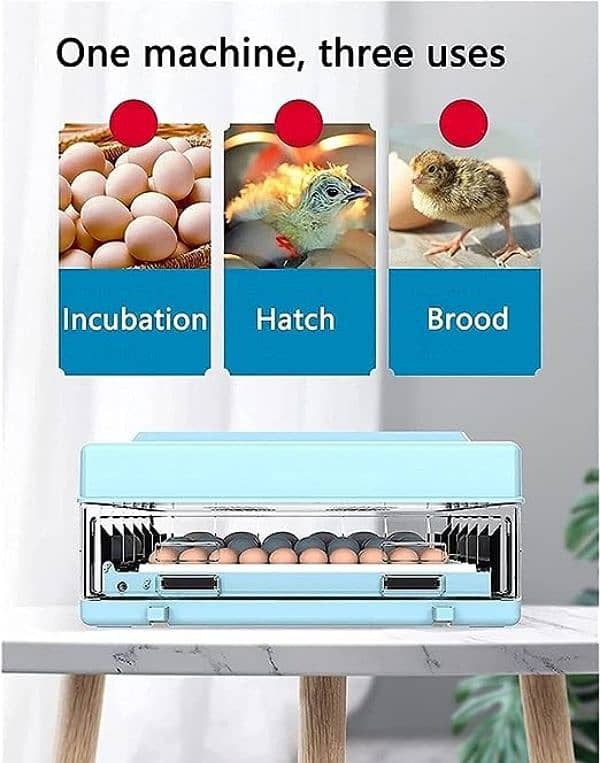 Yiwan 70 eggs daraz model dual power incubator 4